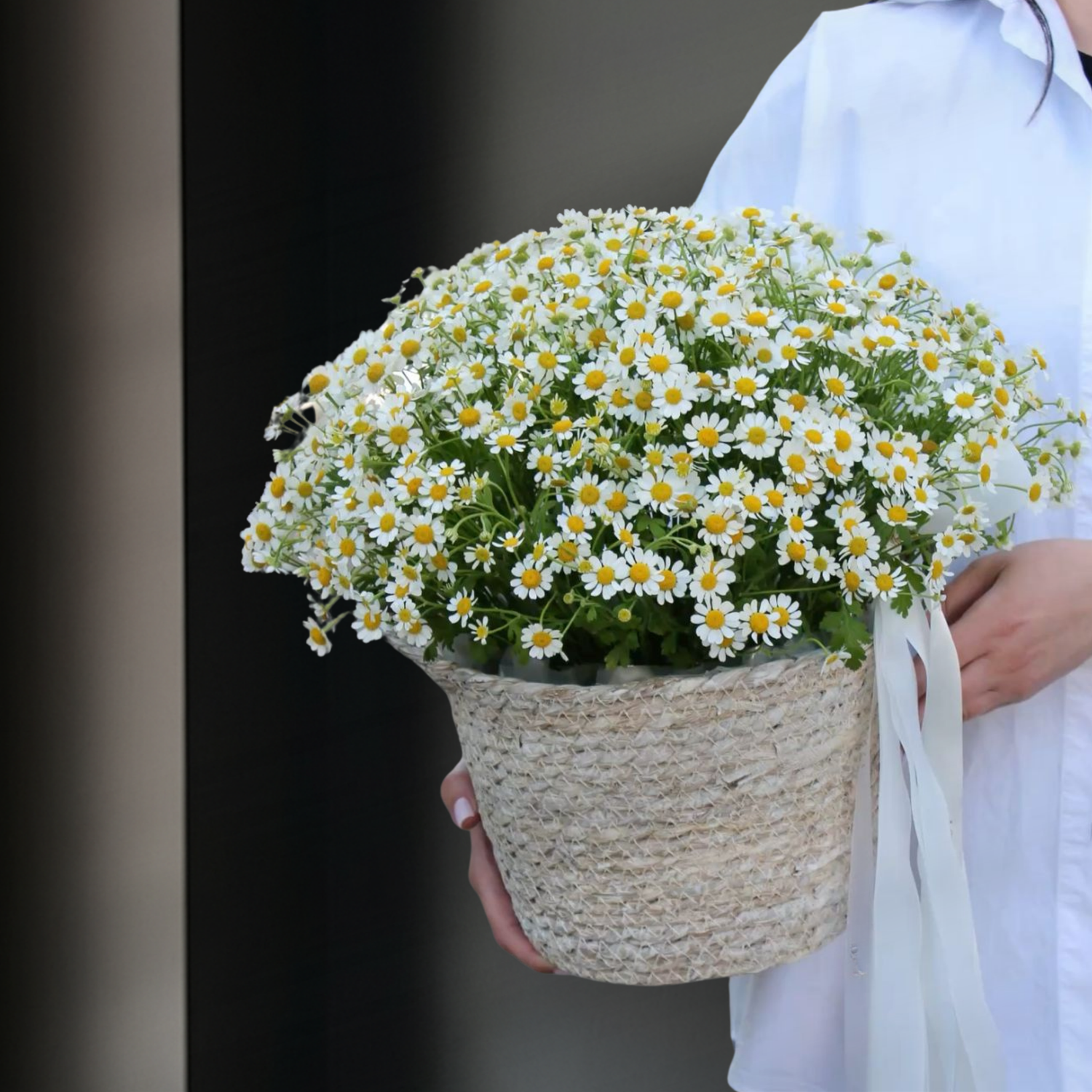 Корзина с ромашками