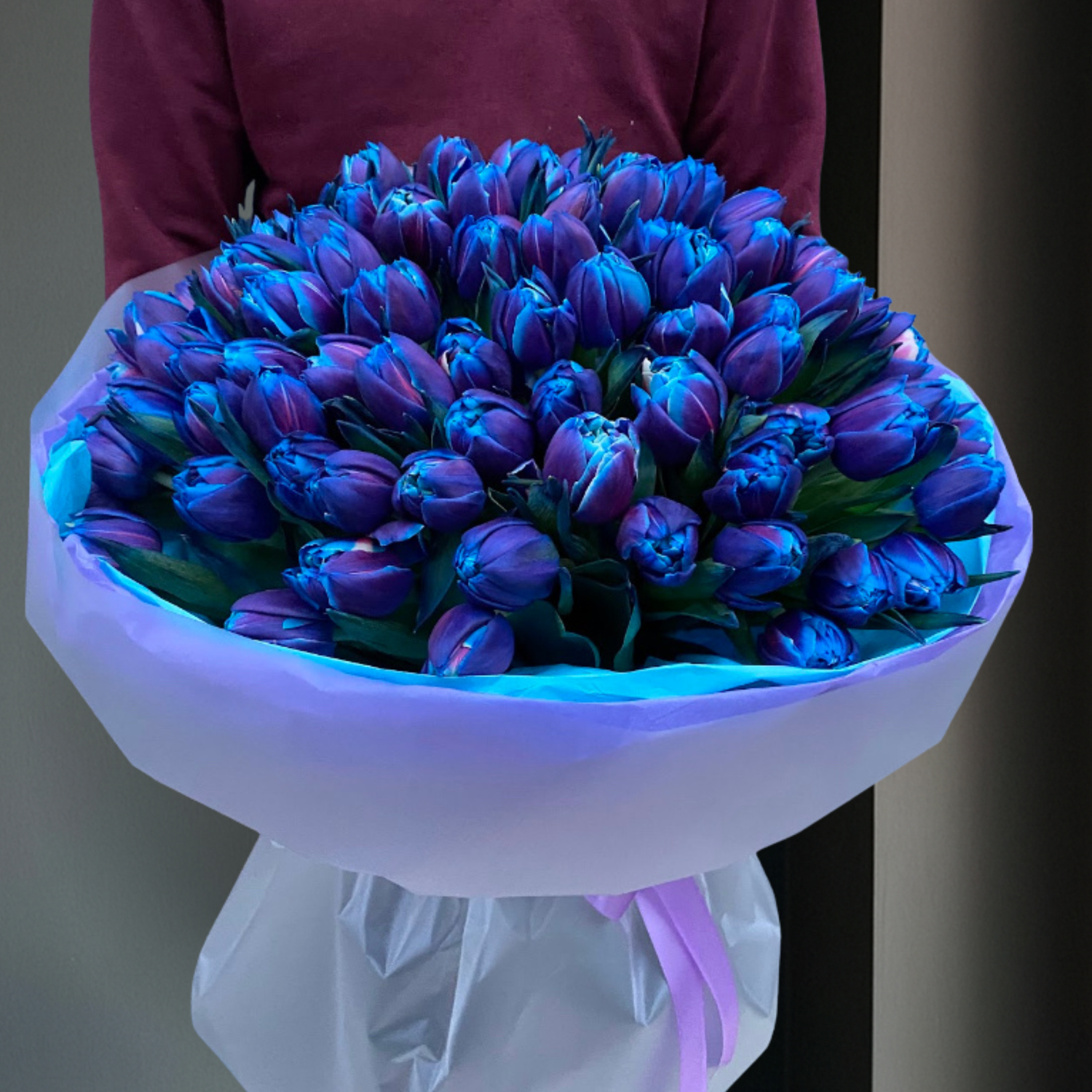 Тюльпани Гіпноз